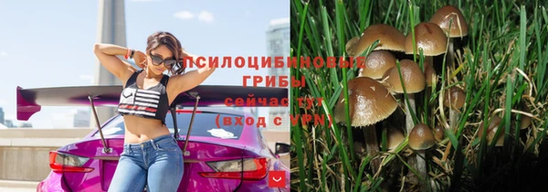 эйфоретик Беломорск