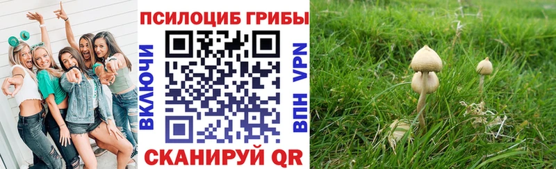Псилоцибиновые грибы Magic Shrooms  hydra зеркало  Оренбург 