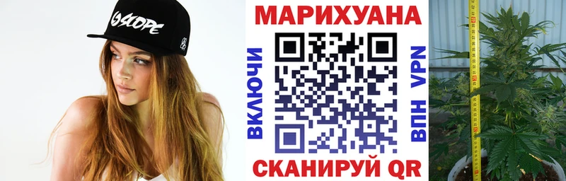 купить наркотики цена  Оренбург  Конопля SATIVA & INDICA 